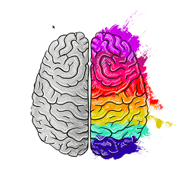 A brain with half of it colorful and the other half grey.