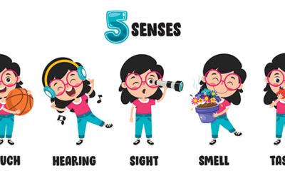 How to Practice Gratitude Using the Five Senses: A Creative and Mindful Exercise