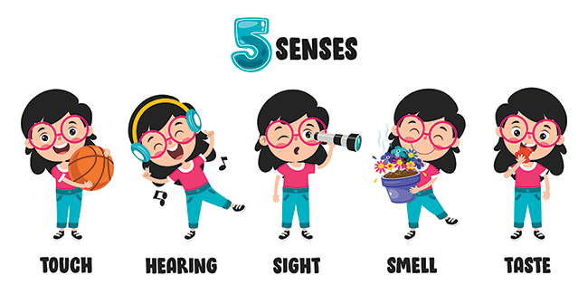 How to Practice Gratitude Using the Five Senses: A Creative and Mindful Exercise